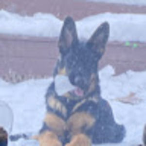 Meet your Posher, Isabella